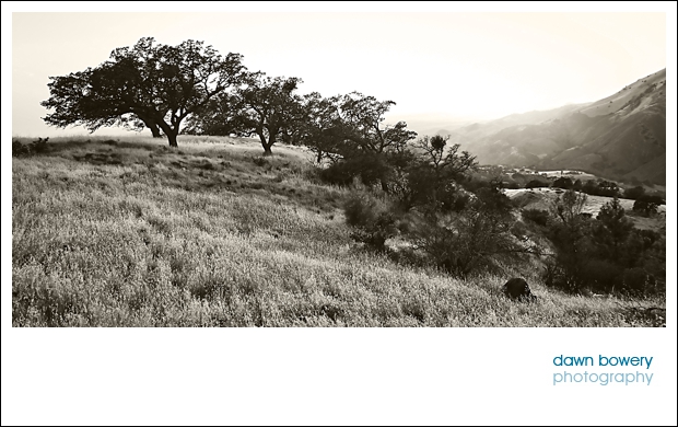 California fine art photography Santa Ynez landscape black and white