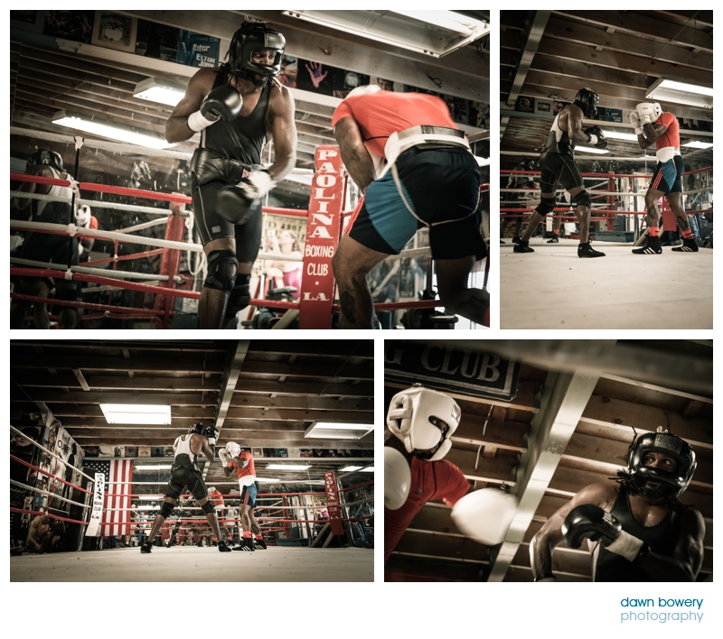 audley harrison boxing training ringside