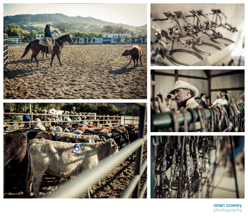 los angeles documentary photographer santa ynez rodeo cowboys