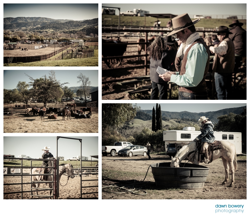 los angeles documentary photographer santa ynez rodeo horses