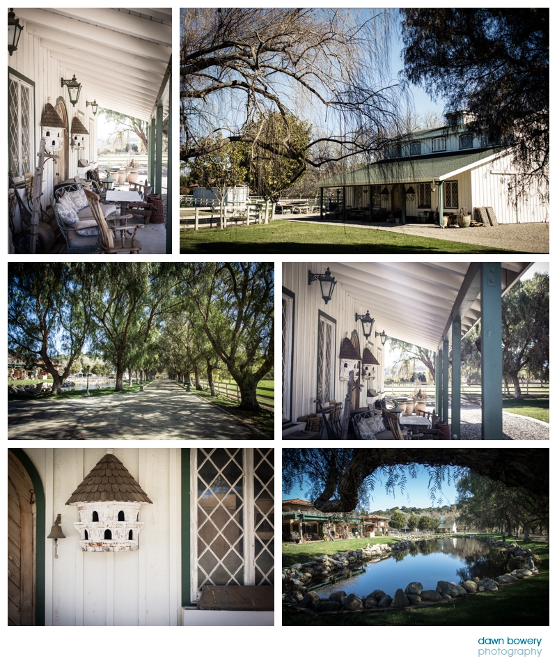 los angeles documentary photographer pine trader barn