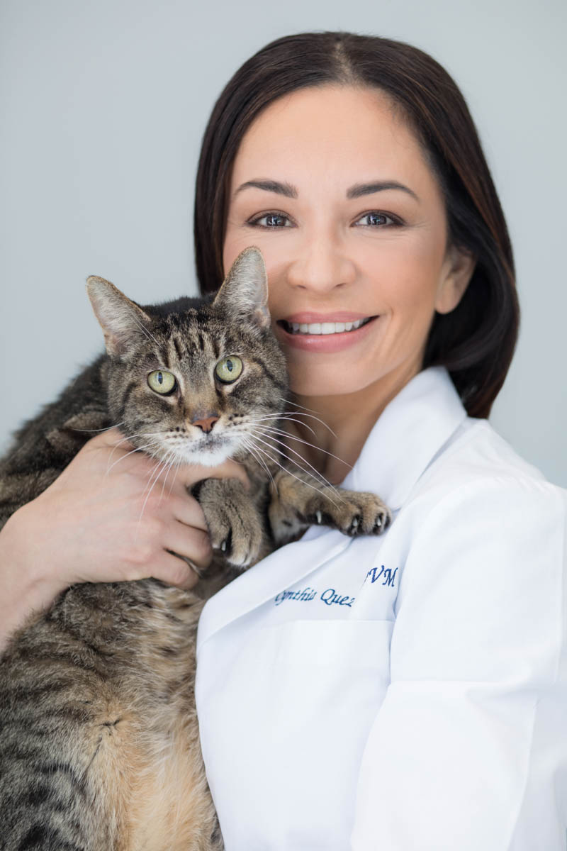 Los Angeles corporate headshot - vet with cat