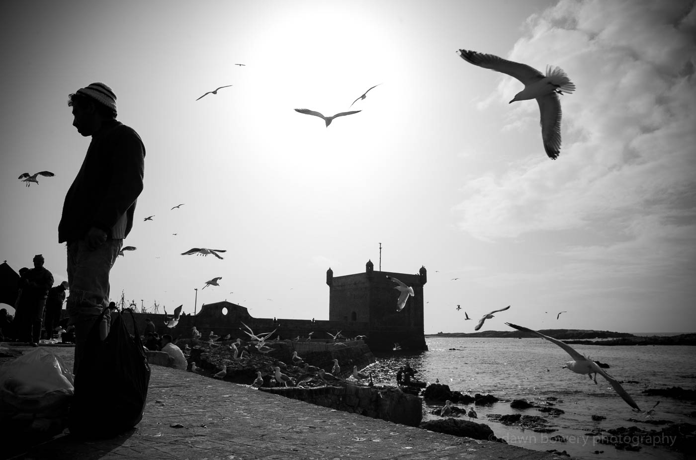 morocco harbour essaouira fine art